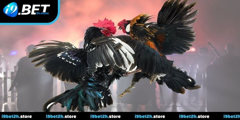 Cập nhật tình hình trận đấu liên tục theo thời gian thực