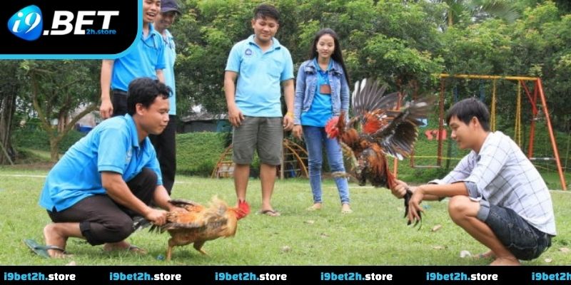 Cập nhật tình hình trận đấu liên tục theo thời gian thực